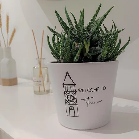 Boho Style In Center Of * 地拉那