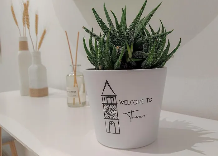 Boho Style In Center Of * 地拉那